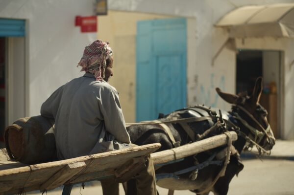 Adventurous Pack: Embrace the Thrill of <span class="highlighted-country">Tunisia</span>