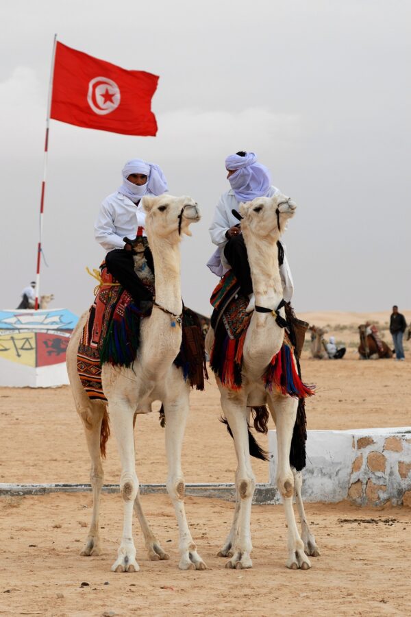 Bedouin Nomad Pack: Journey Through the Desert's Heart of <span class="highlighted-country">Tunisia</span>